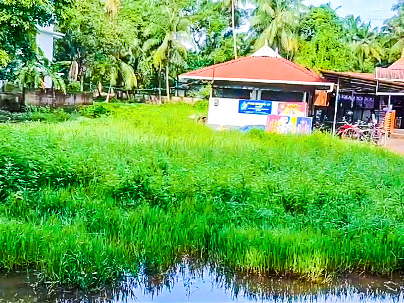 guruvayur nearest ayyappa temple